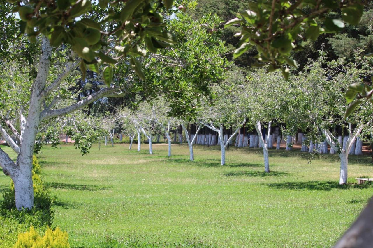 Cabanas Rancho El Mayab Zacatlán Exteriér fotografie