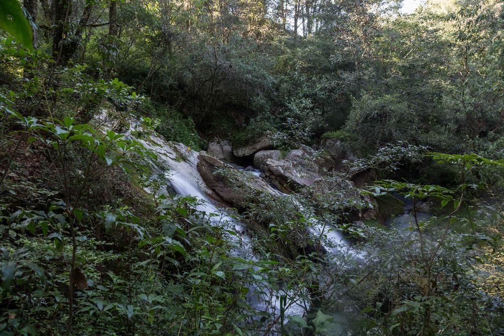 Cabanas Rancho El Mayab Zacatlán Exteriér fotografie