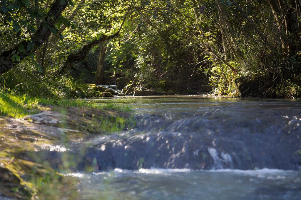 Cabanas Rancho El Mayab Zacatlán Exteriér fotografie